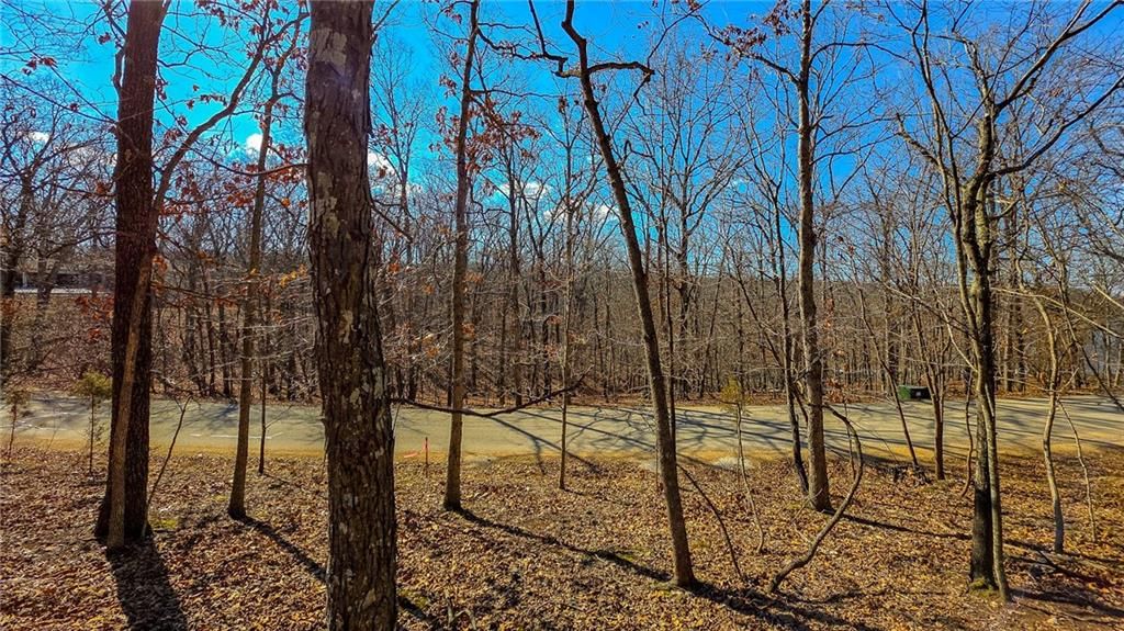 Lot #450 Grand View Drive — photo 6