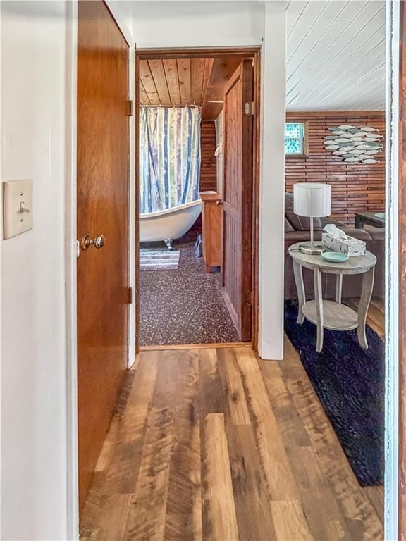 29703 Bobcat Drive — photo 17