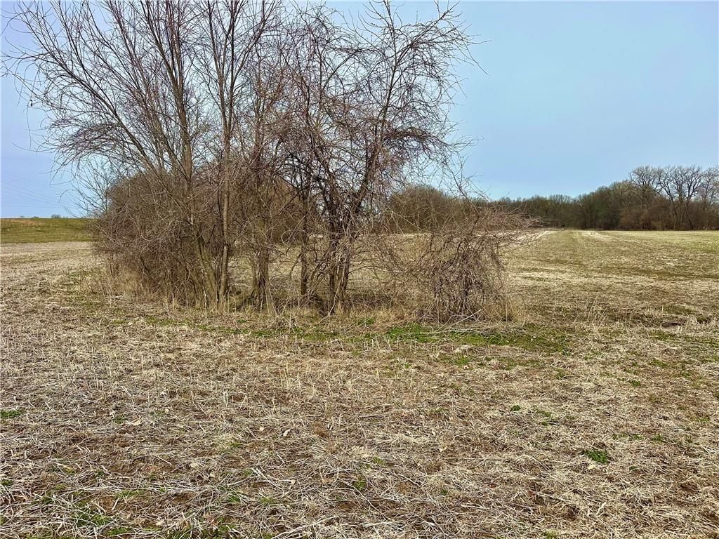 NW 401 Road — photo 14