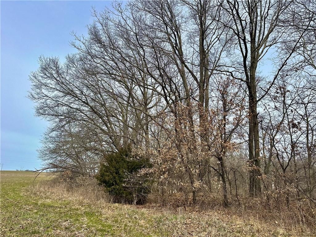 NW 401 Road — photo 7