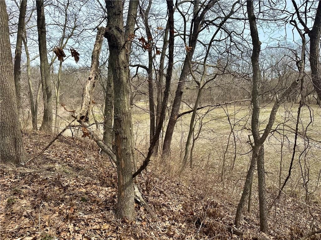 NW 401 Road — photo 9
