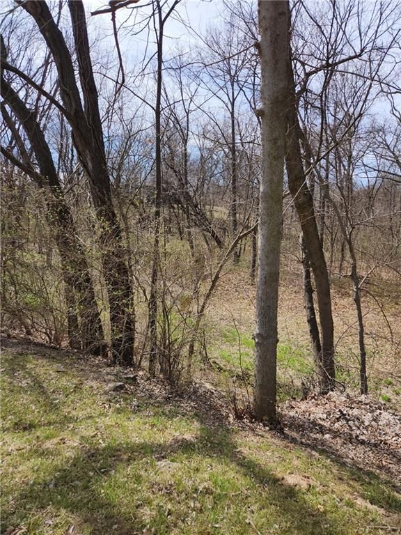 8823 Cleveland Avenue — photo 2