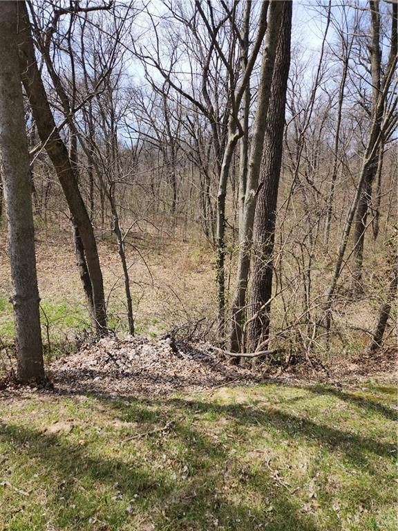 8823 Cleveland Avenue — photo 6