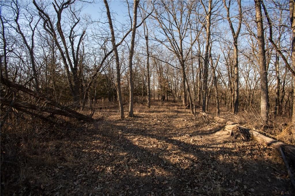 Road 217 Road — photo 86