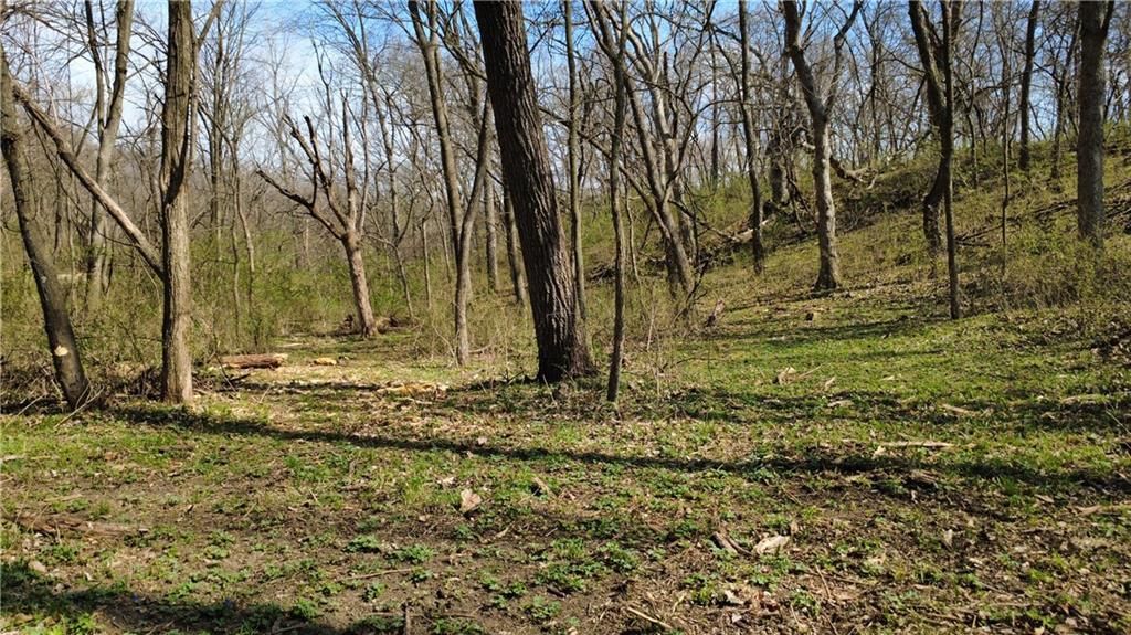 1611 Sunrise Drive — photo 6