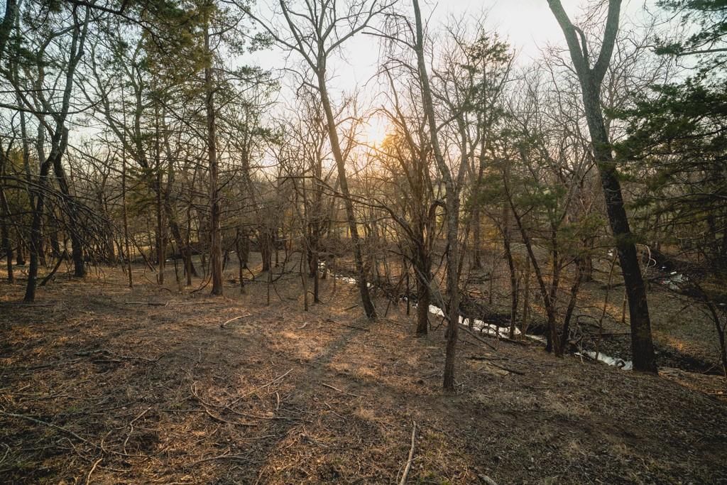 15017 Botkin Road — photo 72