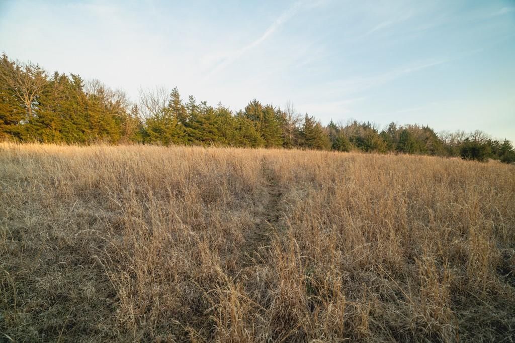 15017 Botkin Road — photo 73