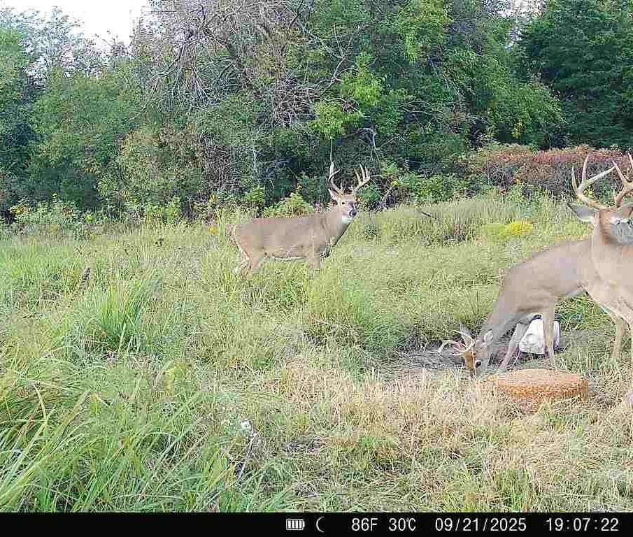 15017 Botkin Road — photo 78