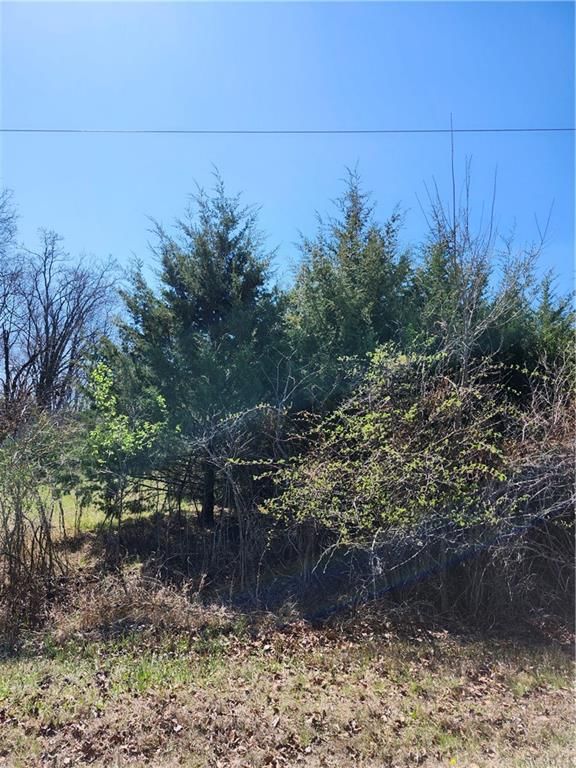 50 Newberry Drive — photo 3