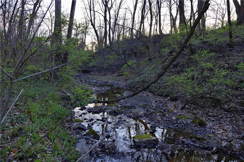 0001 Williams Road — photo 3