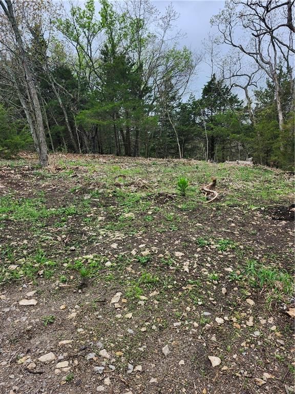 41 E Ridgewood Circle — photo 5