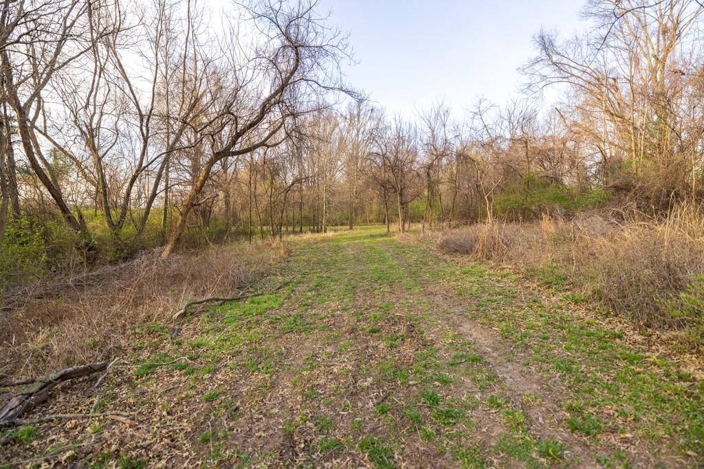 Ruth Ewing Road — photo 29