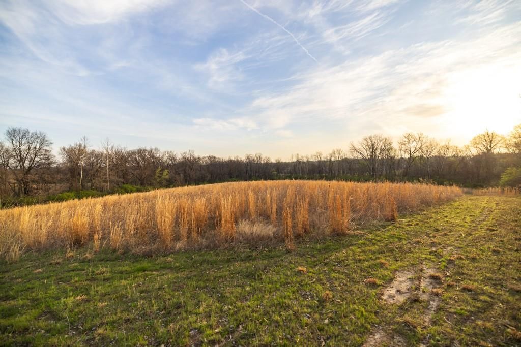 Ruth Ewing Road — photo 41