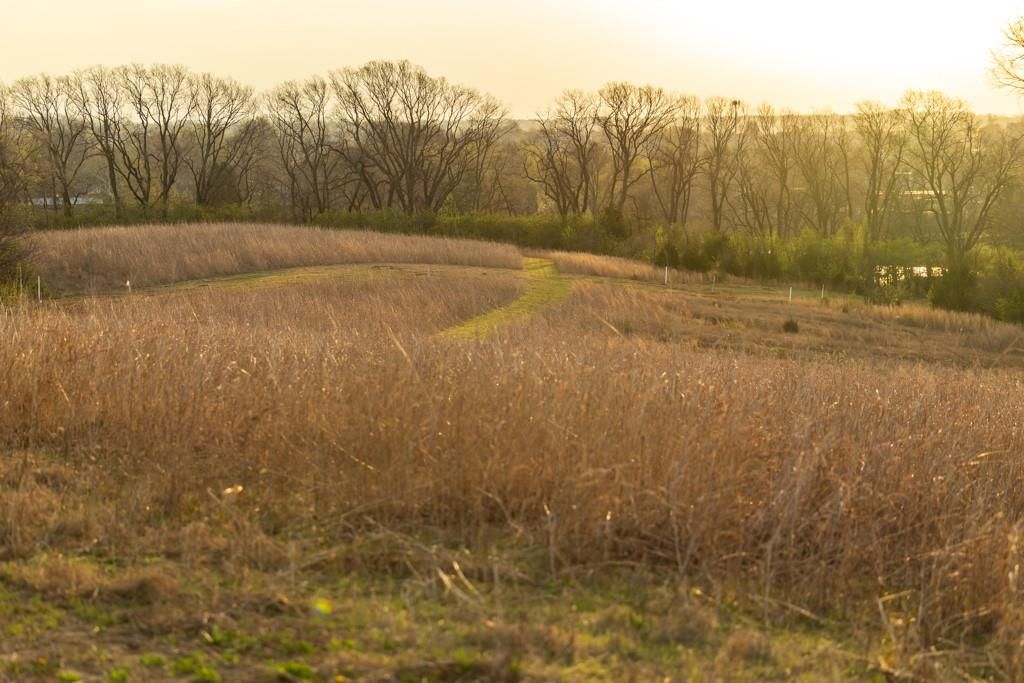 Ruth Ewing Road — photo 49