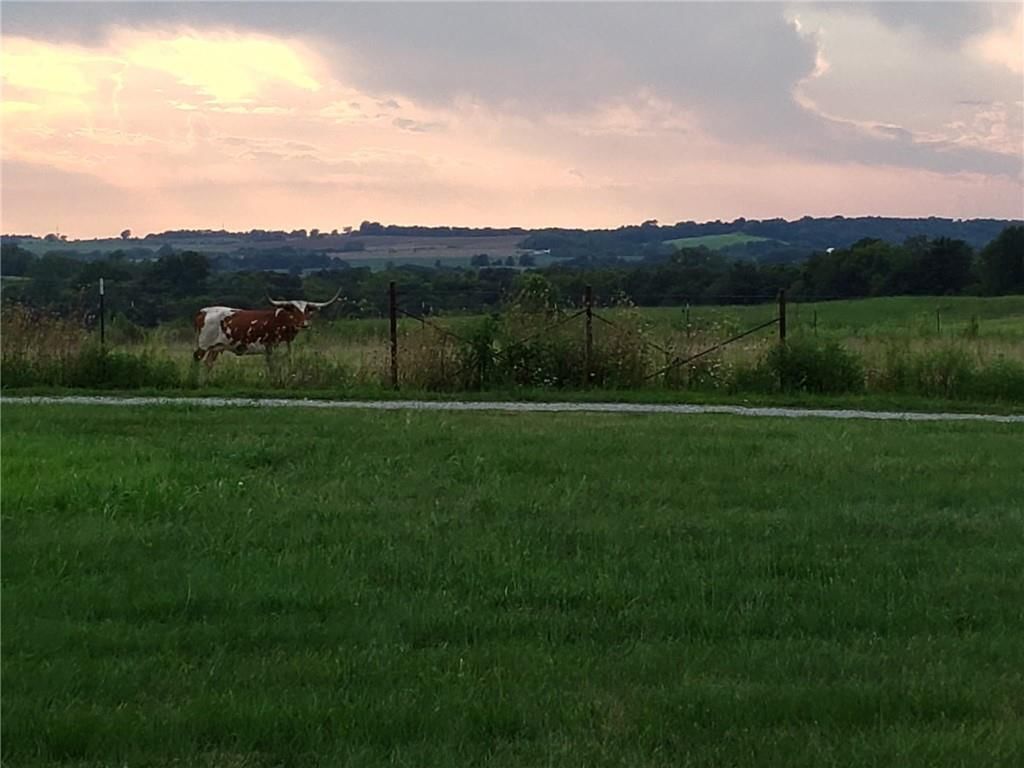 11683 Highway FF — photo 34