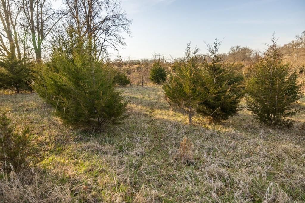 11301 E Owens School Road — photo 25