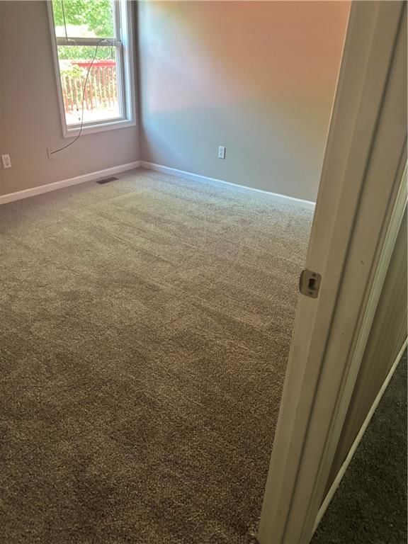 3216 Morton Lane — photo 58