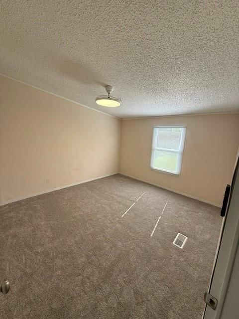 806 N Jerry Street — photo 7