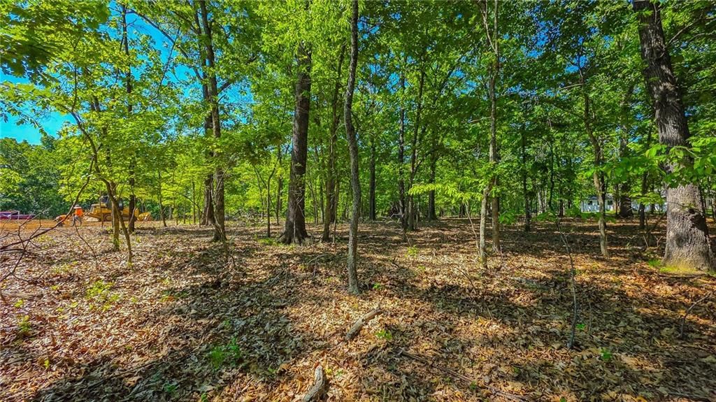Lot #1342 Champion Drive — photo 4