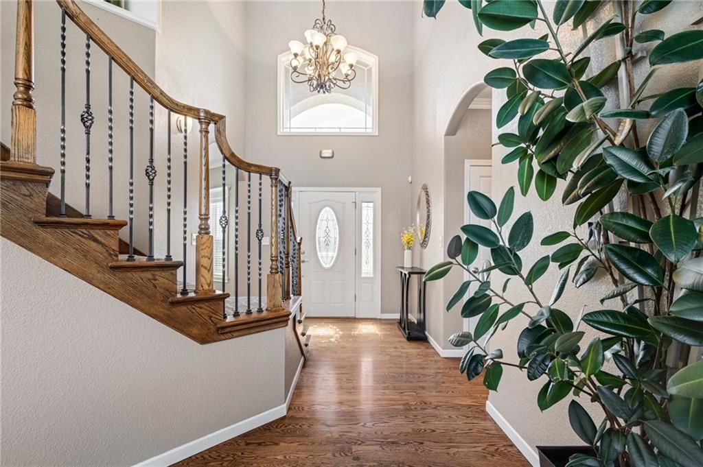 24611 Woodland Circle — photo 4