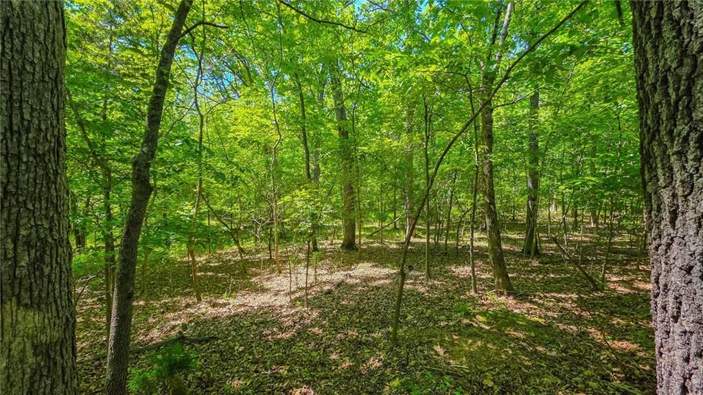 Lot #1150 Spring Creek Drive — photo 3