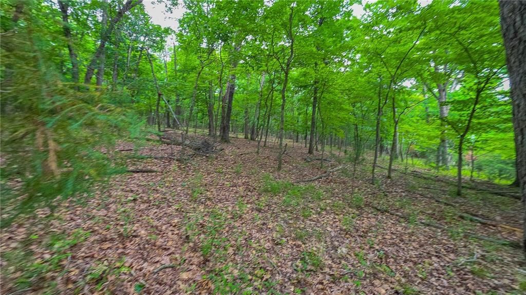 Lot #850 Grand Cypress Court — photo 9
