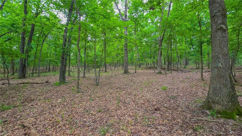 Lot #850 Grand Cypress Court — photo 10