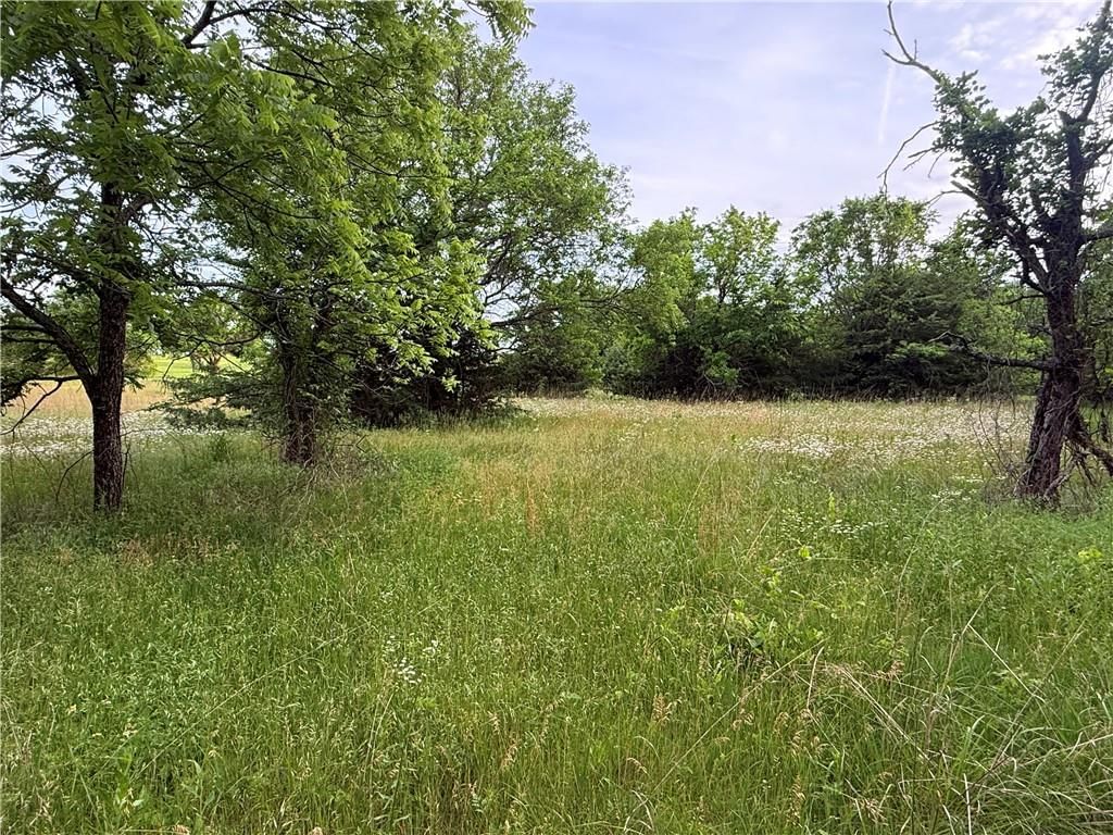 10189 Saddle Creek lot 12 Drive — photo 17