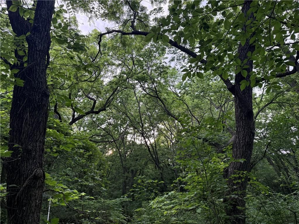 10189 Saddle Creek lot 12 Drive — photo 23
