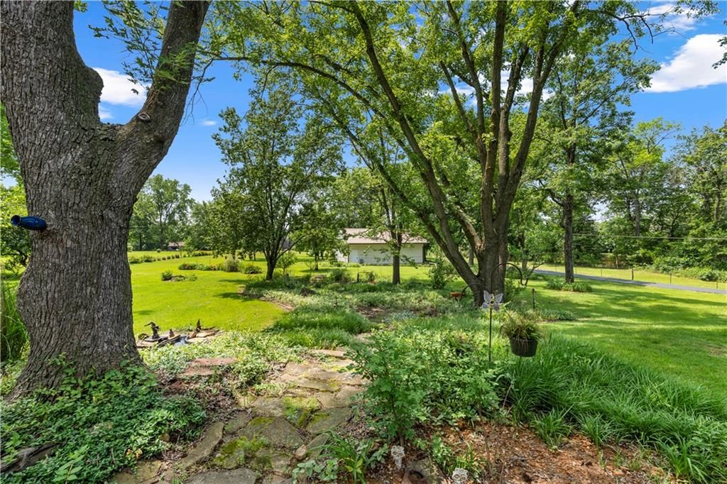 15096 E Quail Road — photo 13