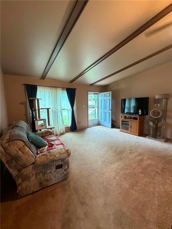 2600 Cardinal Lane — photo 16