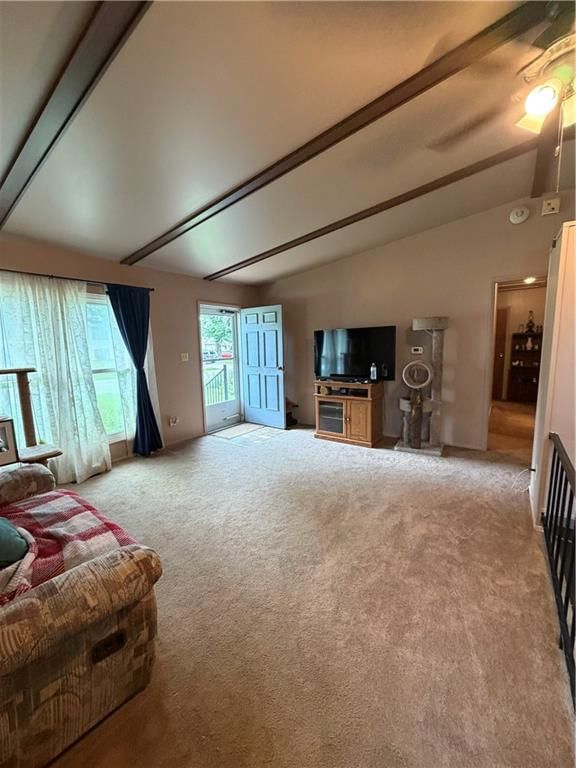 2600 Cardinal Lane — photo 17