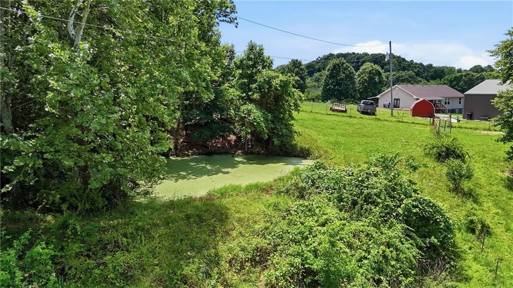 3349 Mud Springs Road — photo 56