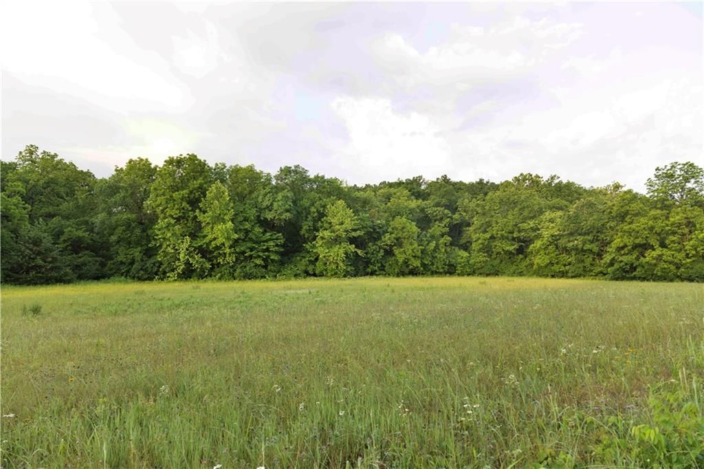Wilderness Camp Road — photo 12