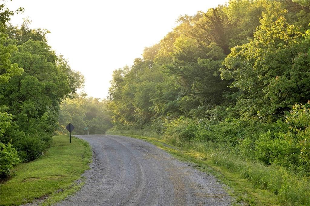 Wilderness Camp Road — photo 16