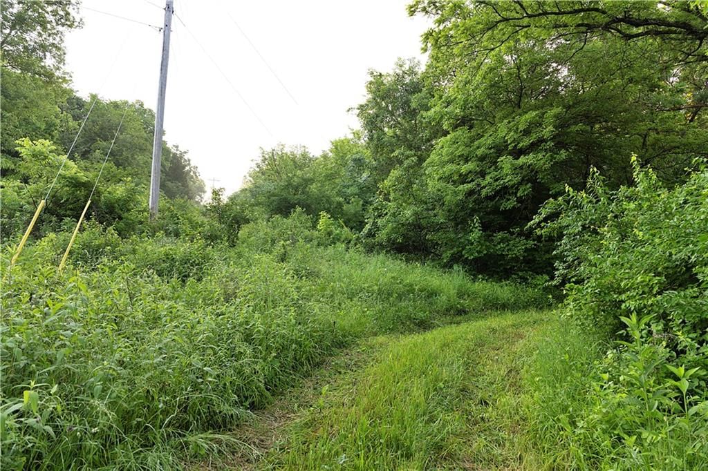 Wilderness Camp Road — photo 18