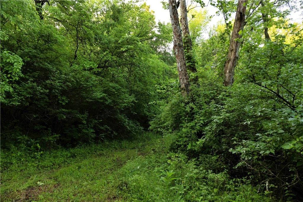 Wilderness Camp Road — photo 24