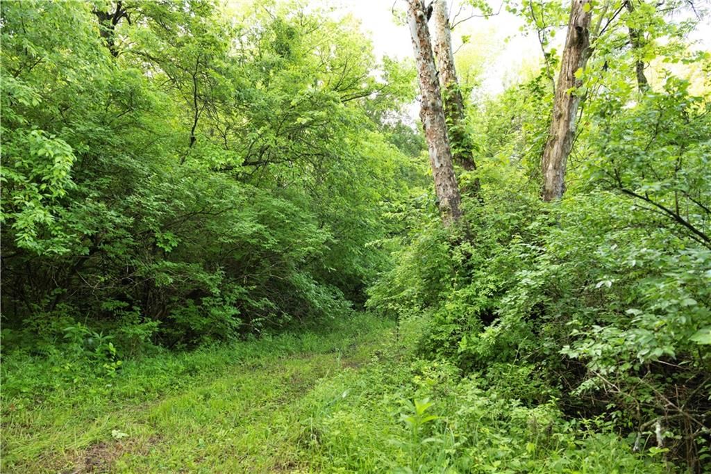 Wilderness Camp Road — photo 25