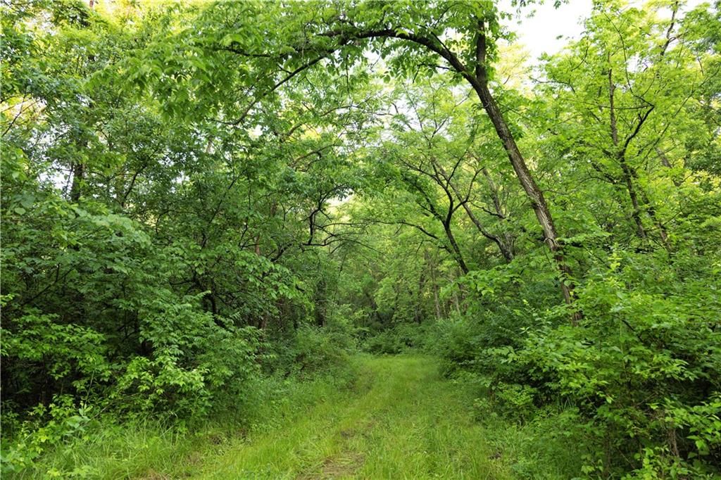 Wilderness Camp Road — photo 26