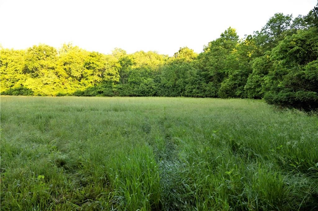 Wilderness Camp Road — photo 28