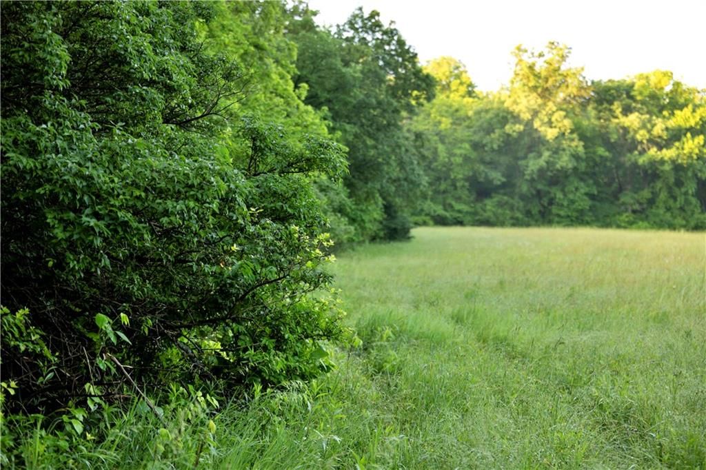Wilderness Camp Road — photo 32