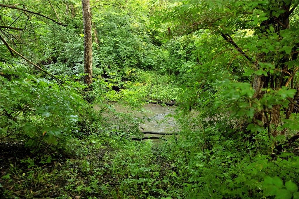 Wilderness Camp Road — photo 34