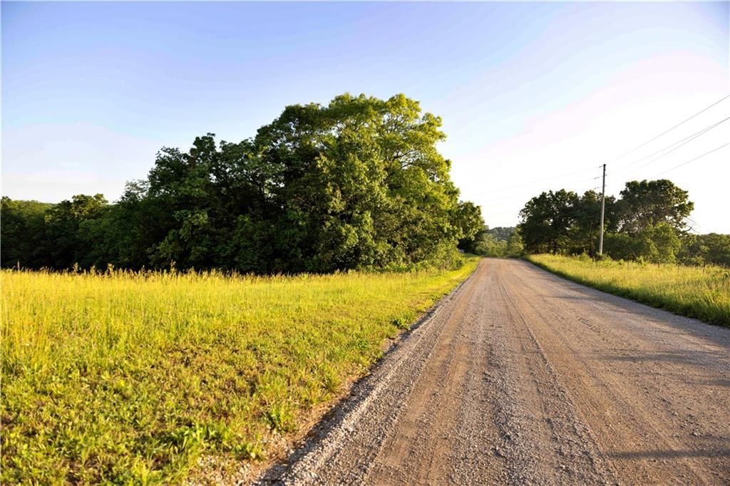 Wilderness Camp Road — photo 49