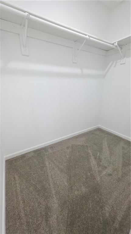 207 Parkway Drive — photo 30