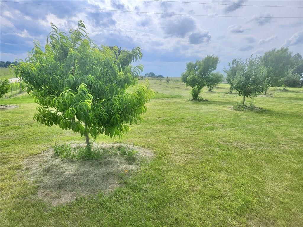 15005 D Highway — photo 32