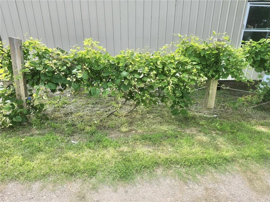 15005 D Highway — photo 34