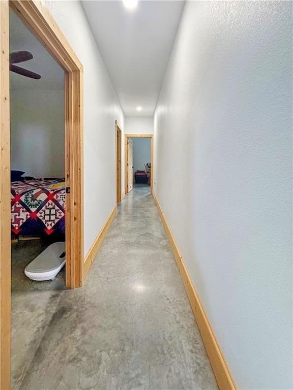 923 Park Street — photo 16