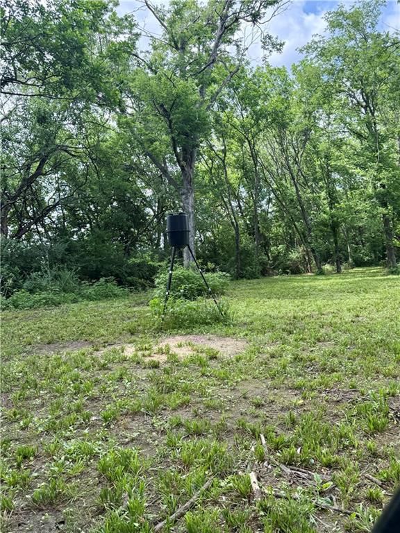 923 Park Street — photo 25