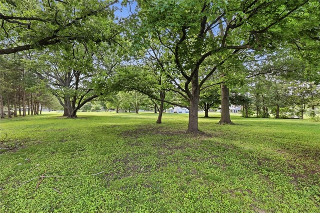 15960 Nall Avenue — photo 4