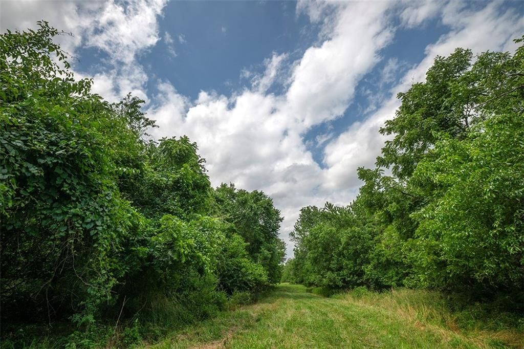 SW County 13007 Road — photo 11